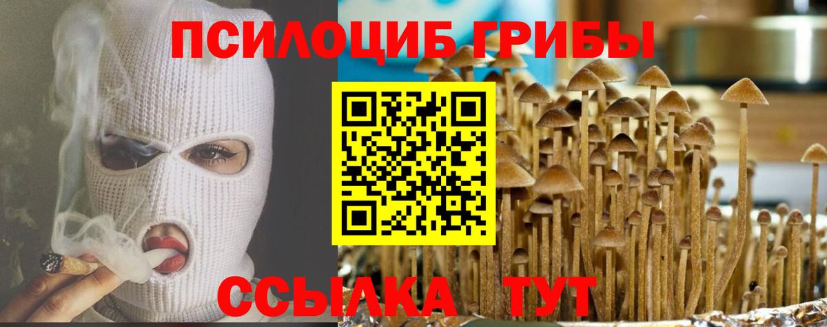 Галлюциногенные грибы Magic Shrooms Красный Сулин